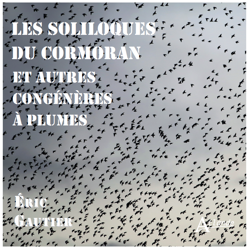 Les soliloques du cormoran et autres congénères à plumes